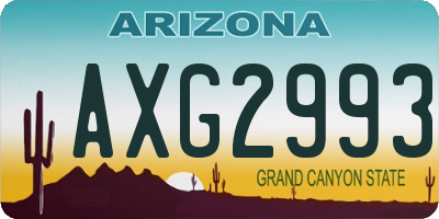 AZ license plate AXG2993