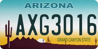 AZ license plate AXG3016