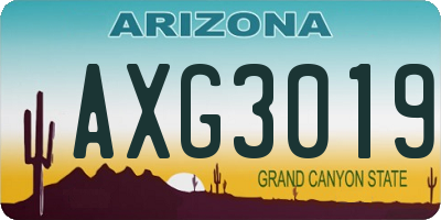 AZ license plate AXG3019