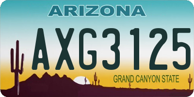 AZ license plate AXG3125