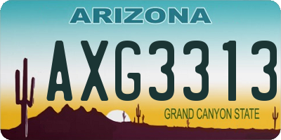 AZ license plate AXG3313