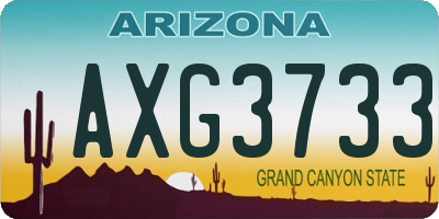 AZ license plate AXG3733