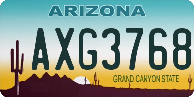 AZ license plate AXG3768