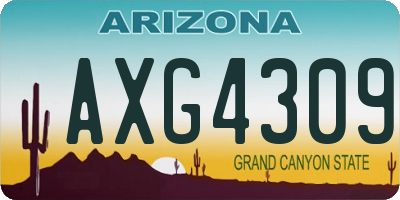 AZ license plate AXG4309