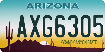 AZ license plate AXG6305
