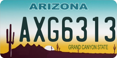 AZ license plate AXG6313