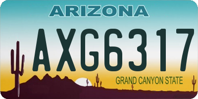 AZ license plate AXG6317