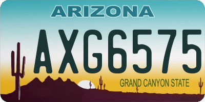 AZ license plate AXG6575