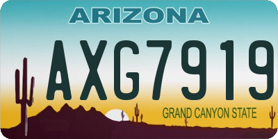 AZ license plate AXG7919