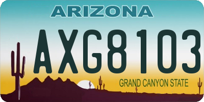 AZ license plate AXG8103