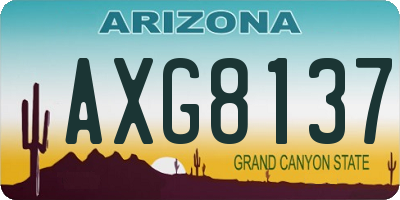 AZ license plate AXG8137