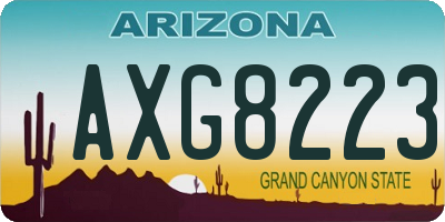 AZ license plate AXG8223