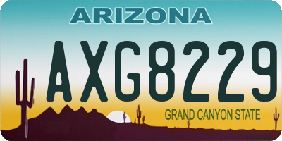 AZ license plate AXG8229