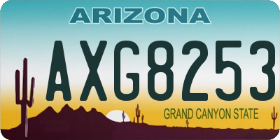 AZ license plate AXG8253