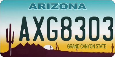 AZ license plate AXG8303