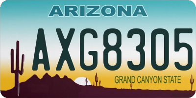 AZ license plate AXG8305