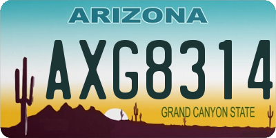 AZ license plate AXG8314