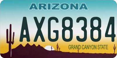 AZ license plate AXG8384