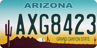 AZ license plate AXG8423