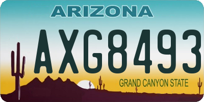 AZ license plate AXG8493