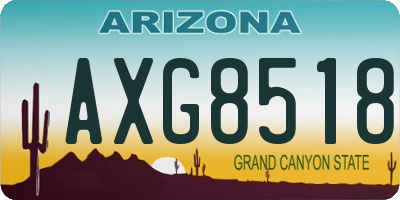 AZ license plate AXG8518