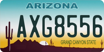AZ license plate AXG8556