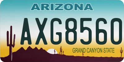 AZ license plate AXG8560