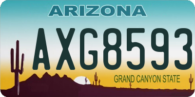 AZ license plate AXG8593