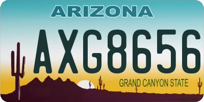 AZ license plate AXG8656