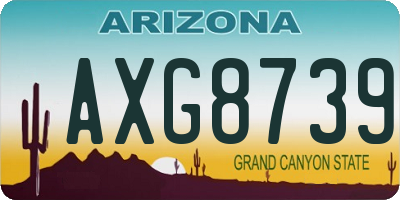 AZ license plate AXG8739