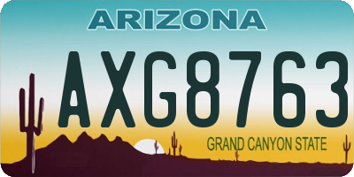 AZ license plate AXG8763