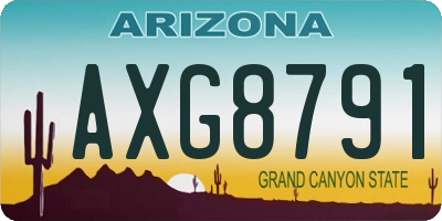 AZ license plate AXG8791