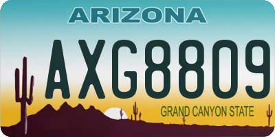 AZ license plate AXG8809