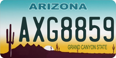 AZ license plate AXG8859