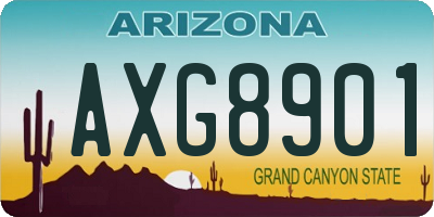 AZ license plate AXG8901