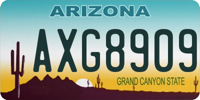 AZ license plate AXG8909
