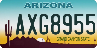 AZ license plate AXG8955