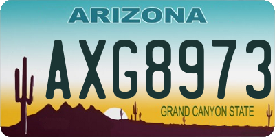AZ license plate AXG8973