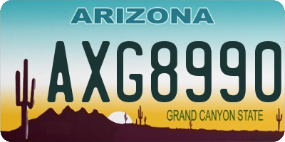 AZ license plate AXG8990