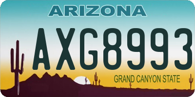 AZ license plate AXG8993