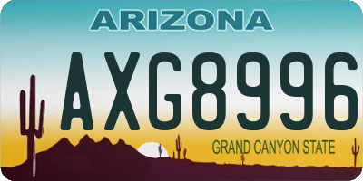 AZ license plate AXG8996
