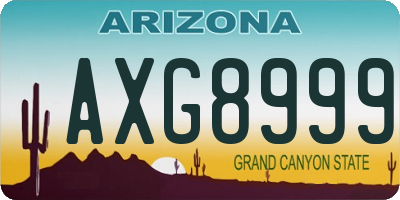 AZ license plate AXG8999