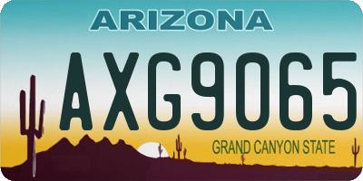 AZ license plate AXG9065