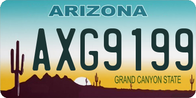 AZ license plate AXG9199