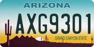 AZ license plate AXG9301