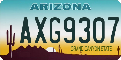 AZ license plate AXG9307