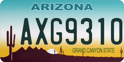 AZ license plate AXG9310