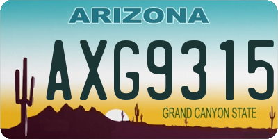 AZ license plate AXG9315