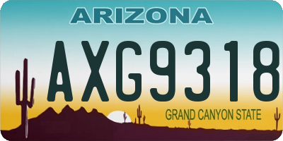 AZ license plate AXG9318
