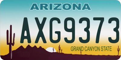 AZ license plate AXG9373
